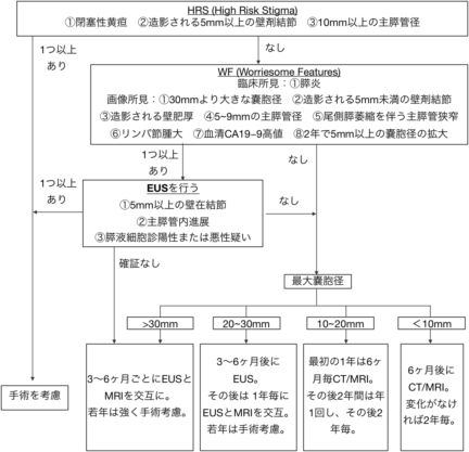 2017年IPMN国際診療ガイドラインのフォローに関するフローチャート