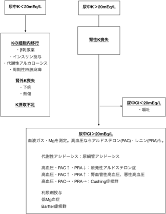 低カリウム血症の原因鑑別フローチャート